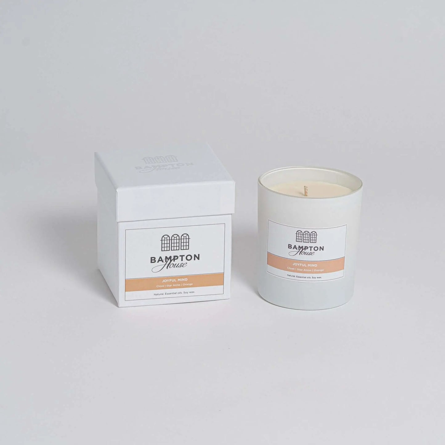 Large Essential Oil Aromatherapy Candle - Joyful Mind (7156826669216)