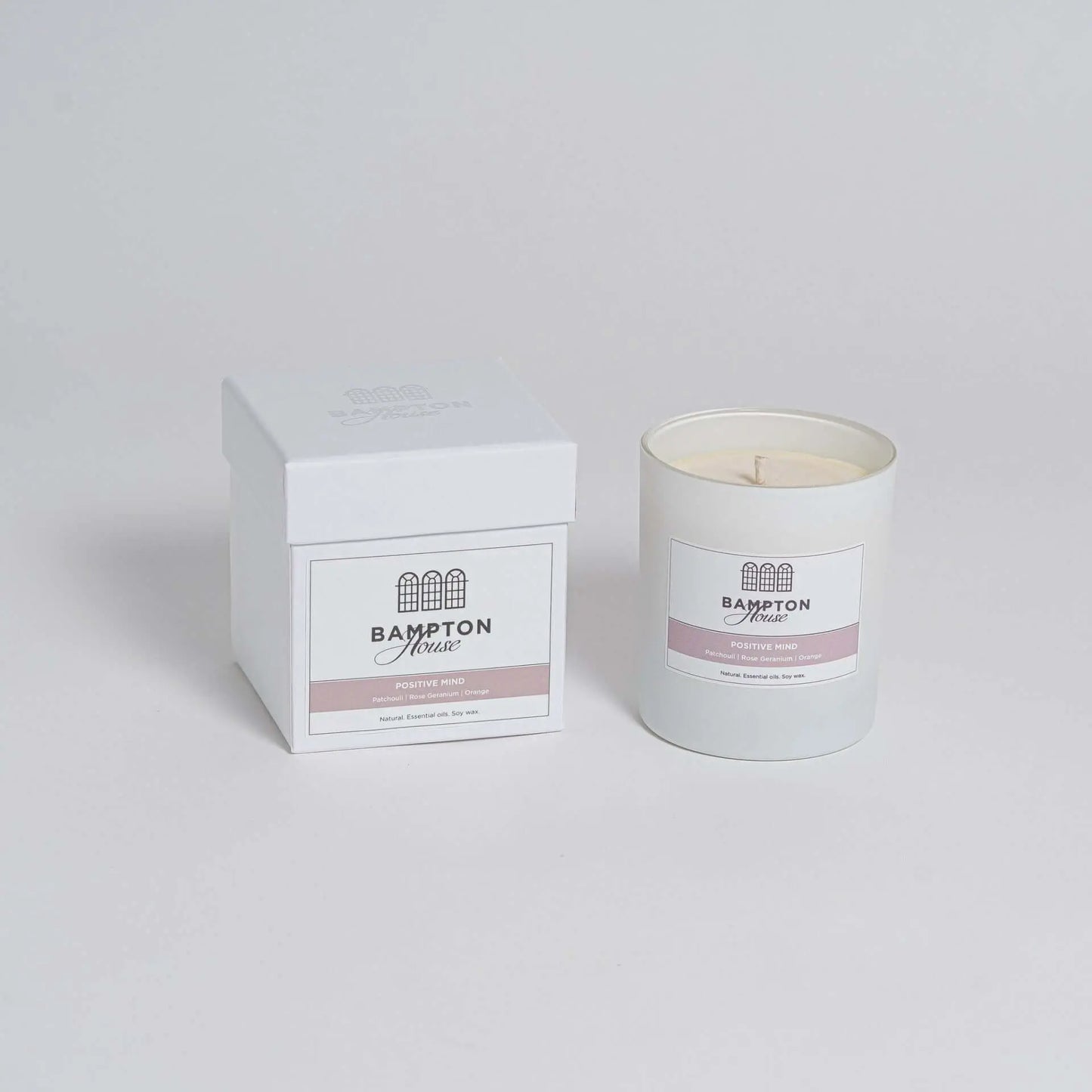 Large Essential Oil Aromatherapy Candle - Positive Mind (7156826701984)