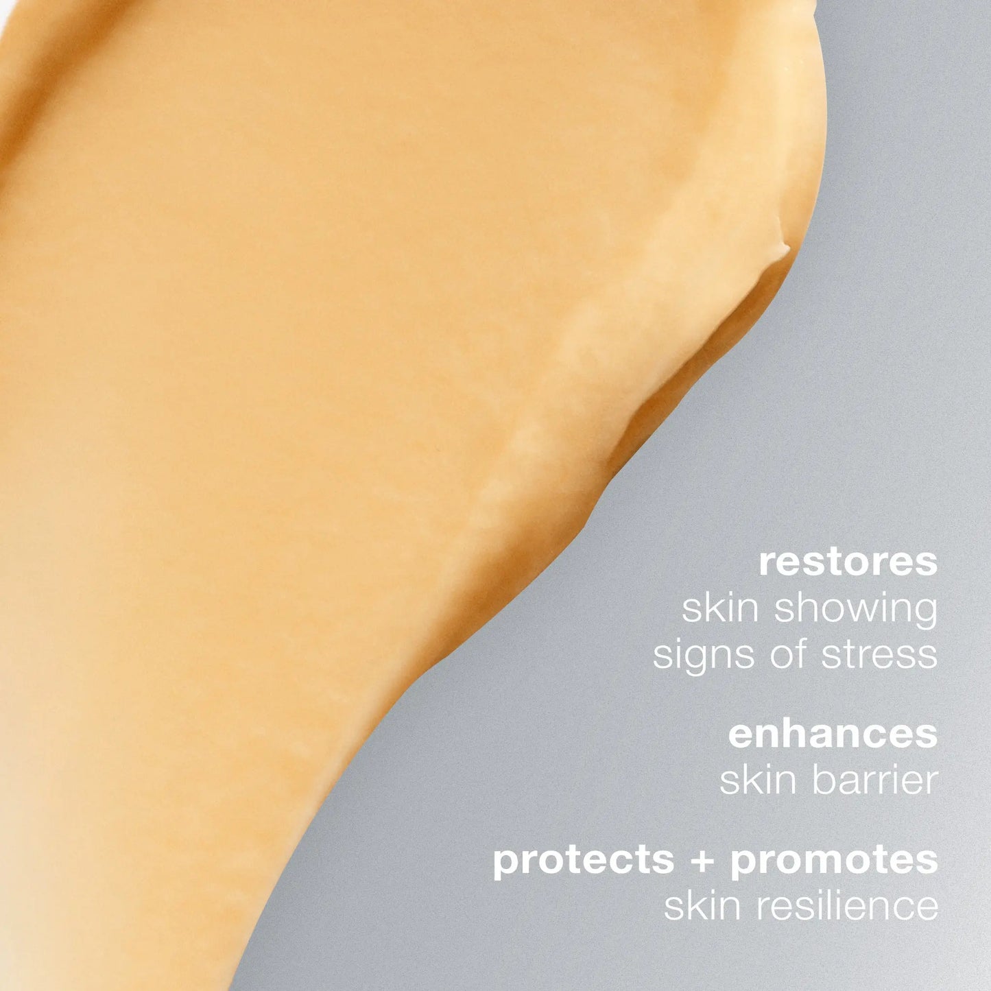 Dermalogica Multivitamin Power Recovery Masque (7156820476064)