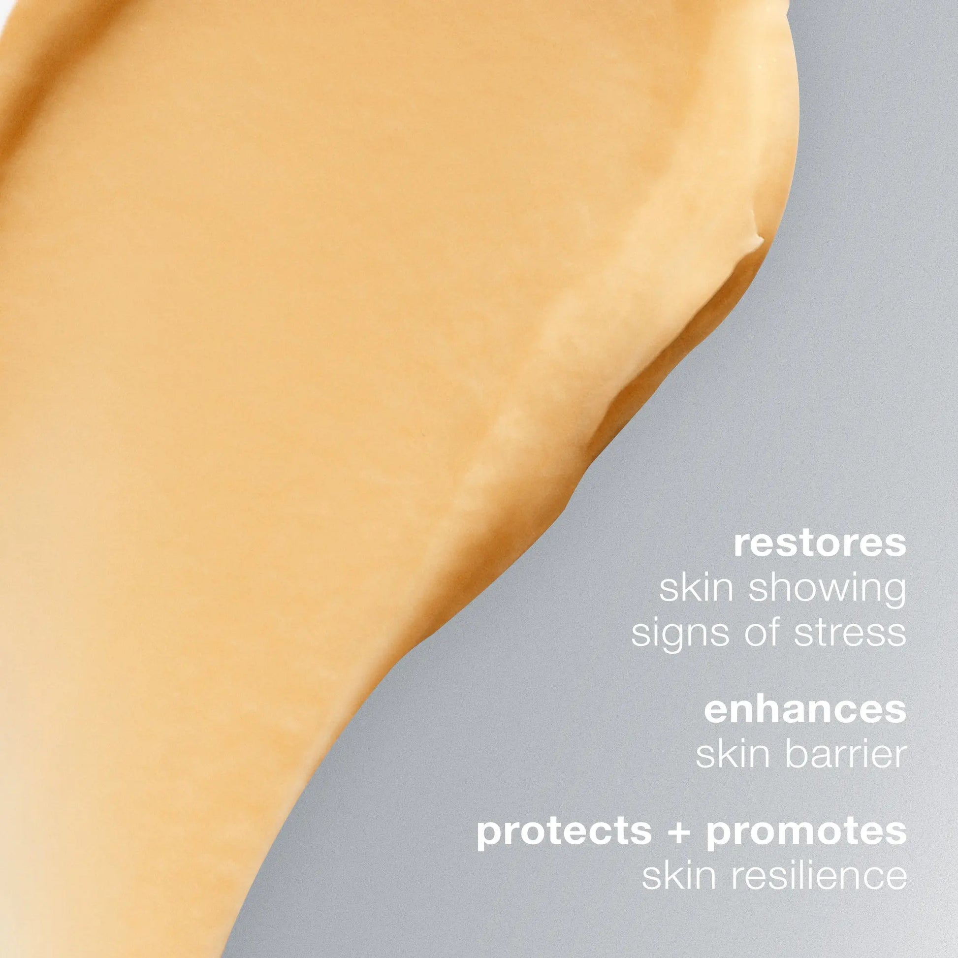 Dermalogica Multivitamin Power Recovery Masque (7156820476064)